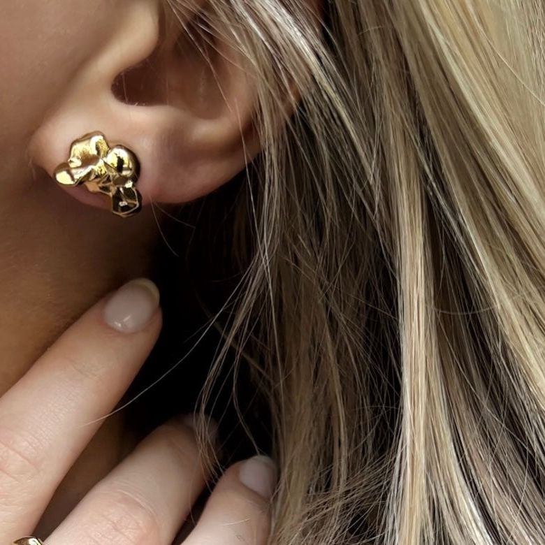 Halley Golden Jubilee Earrings