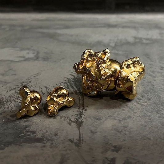 Halley Golden Jubilee Earrings